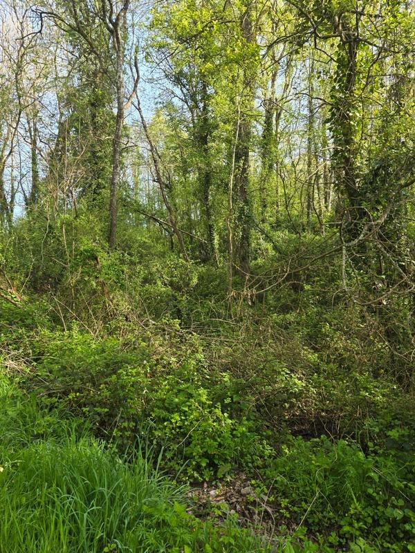 Terrain de loisirs - 2 500 m²