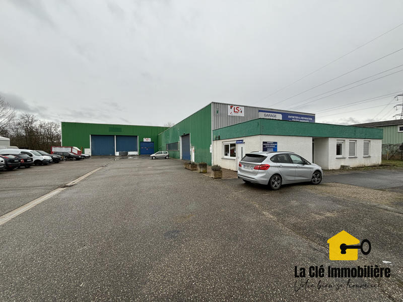 Local commercial - 1 255 m²