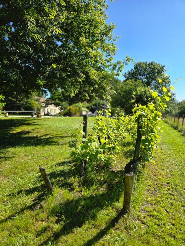 Maison - 220 m² - 9 pièces