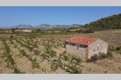 Terrain agricole - 8 710 m²