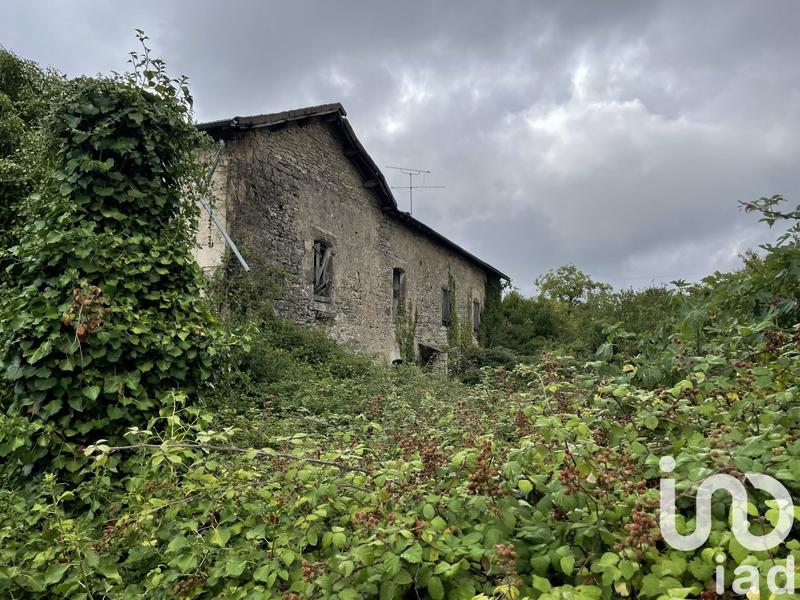 Ferme - 285 m² - 2 pièces