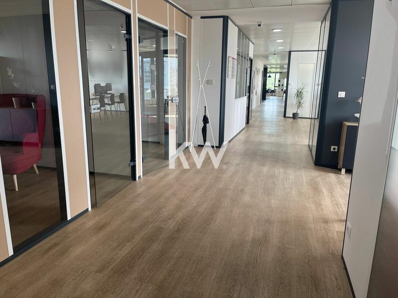 Bureau - 270 m²