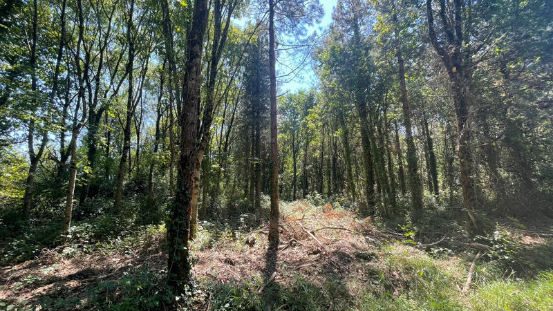 Terrain - 422 862 m²