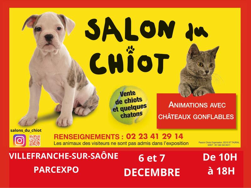 Salon du Chiot