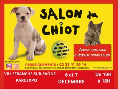 Salon du Chiot