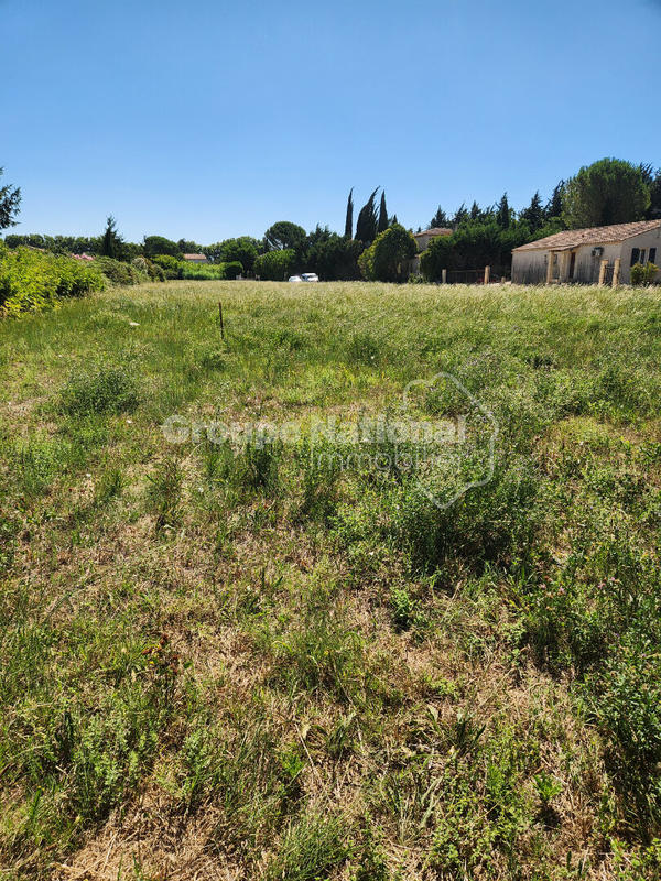 Terrain - 6 603 m²