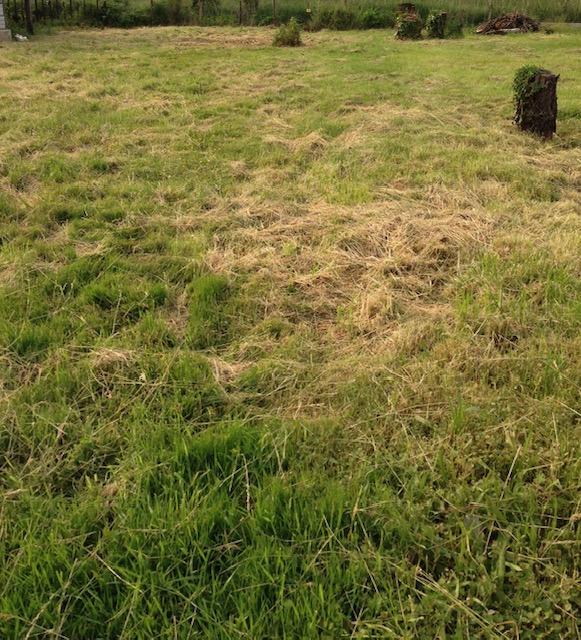 Terrain constructible - 1 069 m²