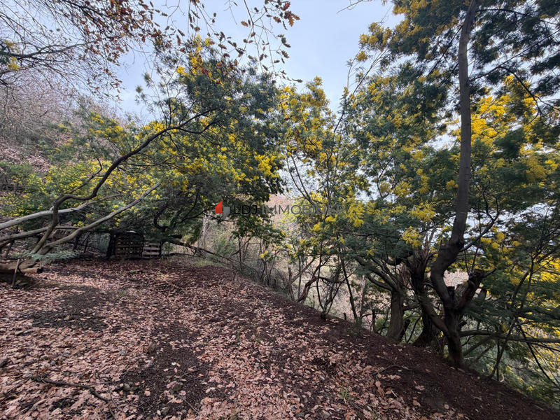 Terrain agricole - 6 500 m²