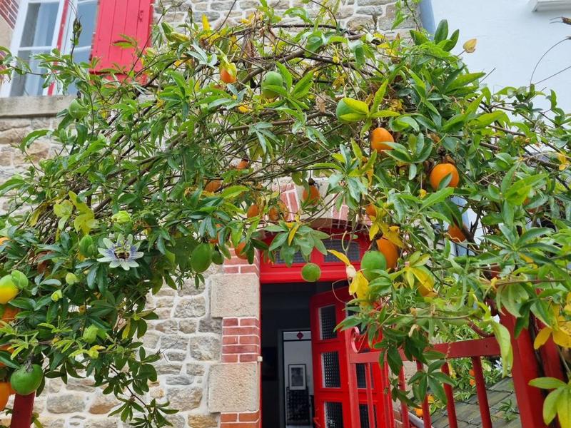 Maison - 82 m² - 3 pièces