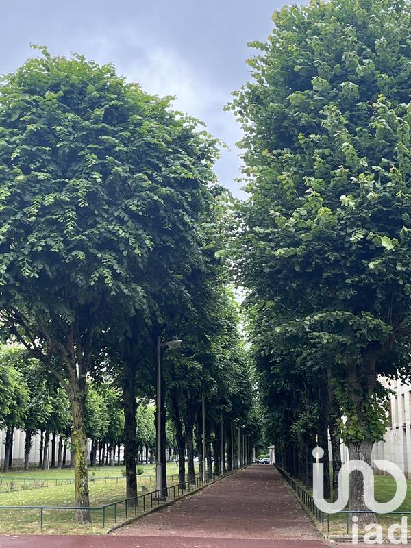 Appartement - 56 m² - 3 pièces