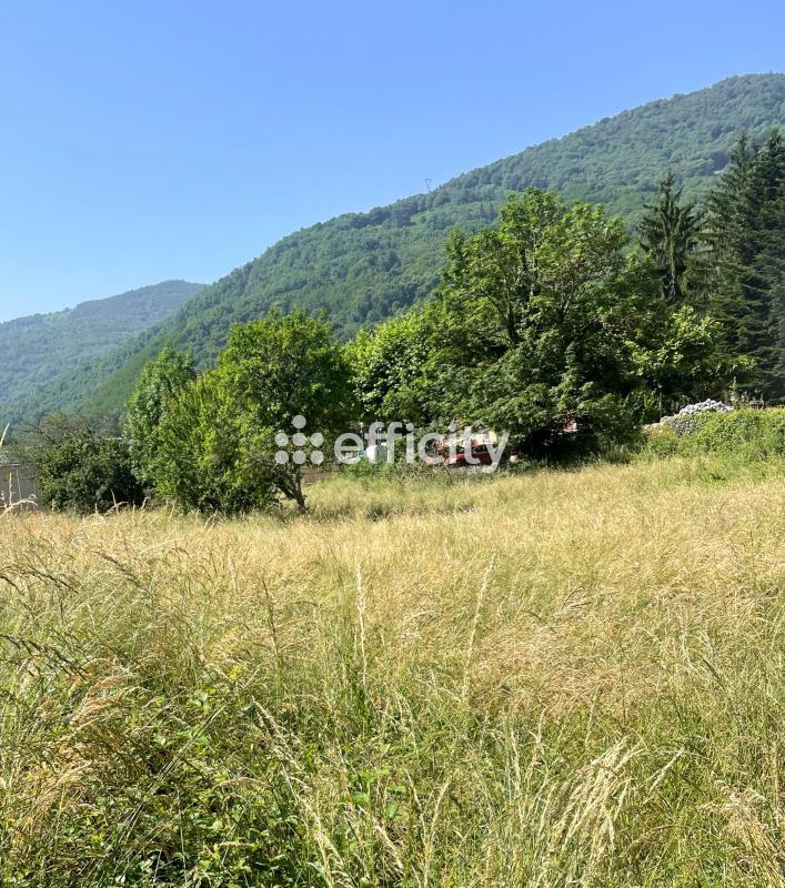 Terrain - 2 397 m²