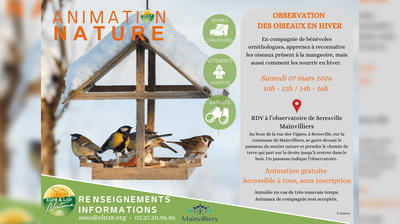 Observation des oiseaux en hivers par Eure-et-Loir Nature