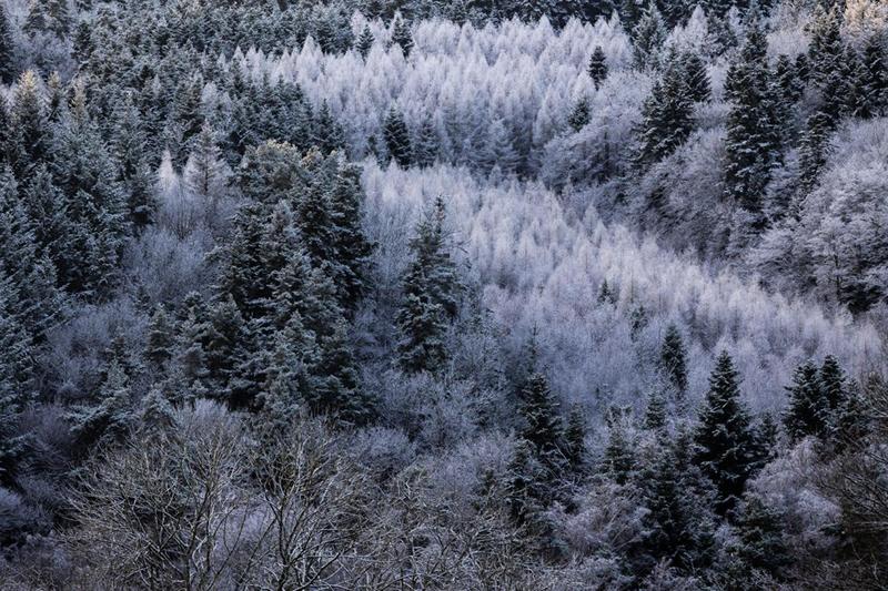 Terrain constructible - 865 m²