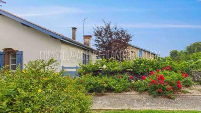 Maison - 260 m² - 12 pièces