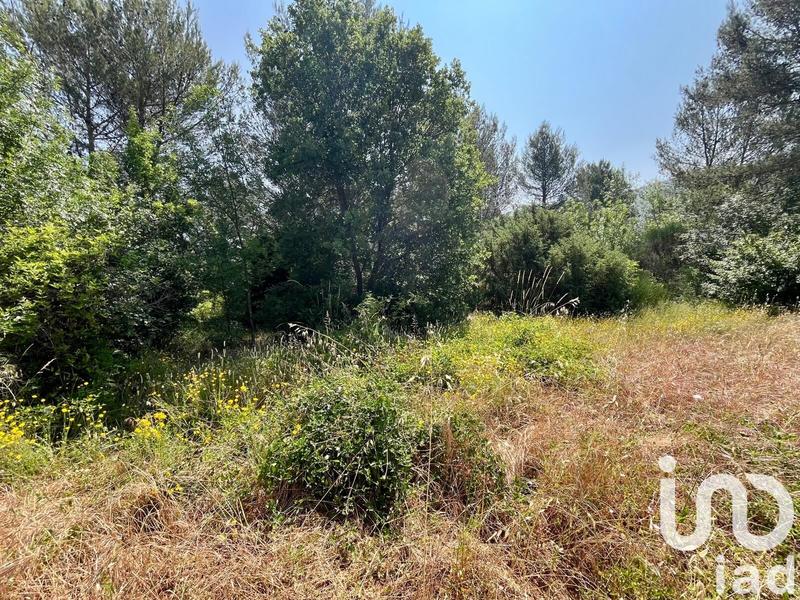 Terrain agricole - 12 527 m²