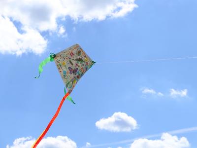 Confection d'un cerf-volant à Terres d'Oiseaux