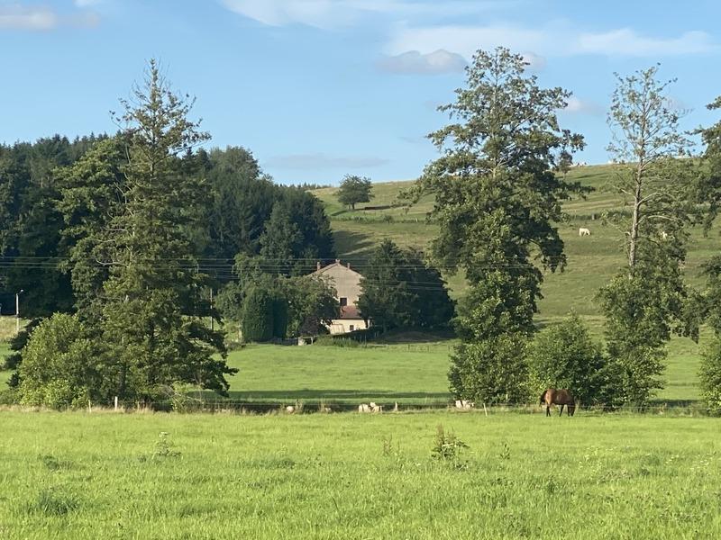 Propriété - 390 m² - 13 pièces