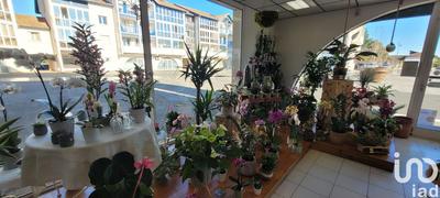 Local commercial - 66 m²