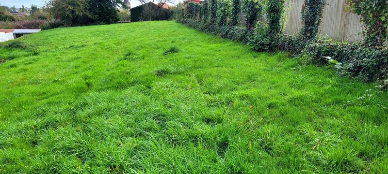 Terrain constructible - 500 m²