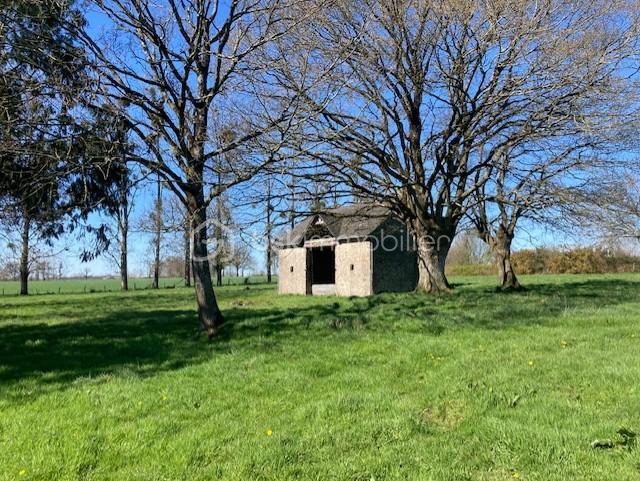 Corps de ferme - 127 m² - 6 pièces