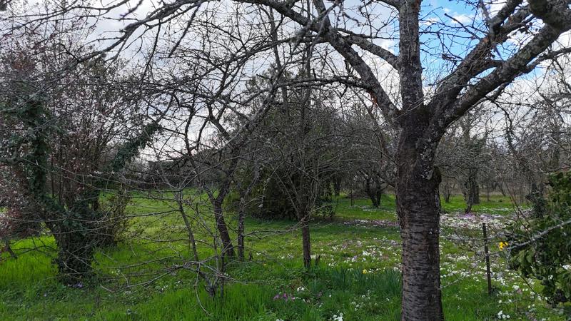 Maison - 88 m² - 5 pièces