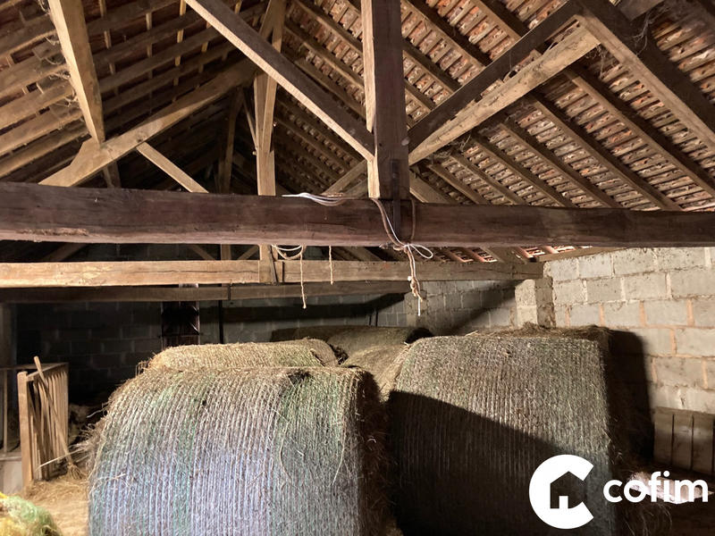 Ferme - 77 m² - 3 pièces