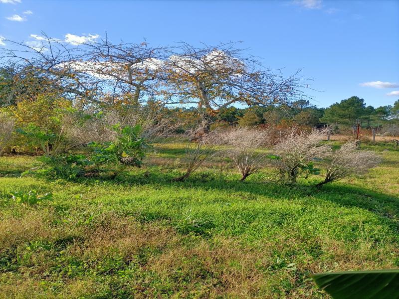 Maison - 134 m² - 7 pièces