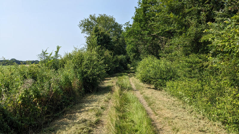 Terrain - 45 170 m²