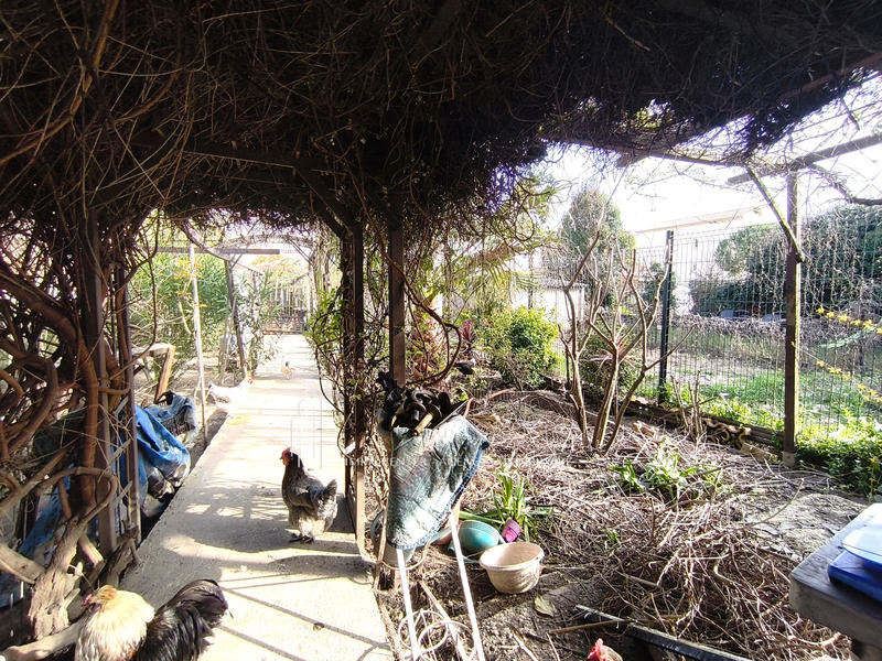 Maison - 106 m² - 5 pièces