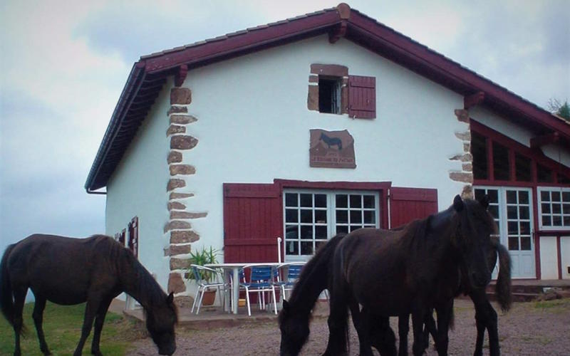 Sortie nature Cpie Pays Basque : "Le Pottok en sa demeure"