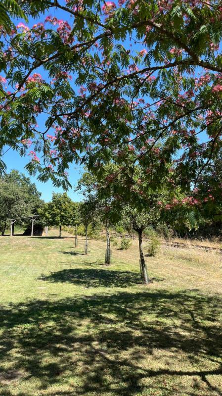 Maison - 148 m² - 5 pièces