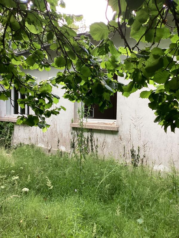 Maison - 115 m² - 6 pièces