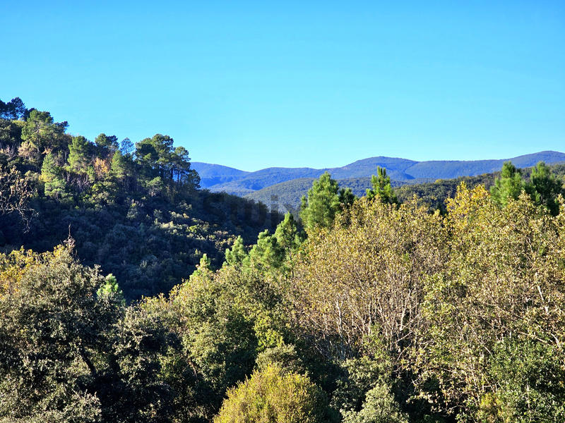 Villa - 227 m² - 10 pièces