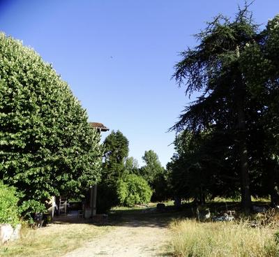 Maison de village - 132 m² - 5 pièces