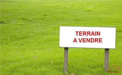 Terrain constructible - 260 m²