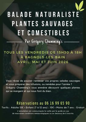 Balade Naturaliste : Plantes Sauvages et Comestibles