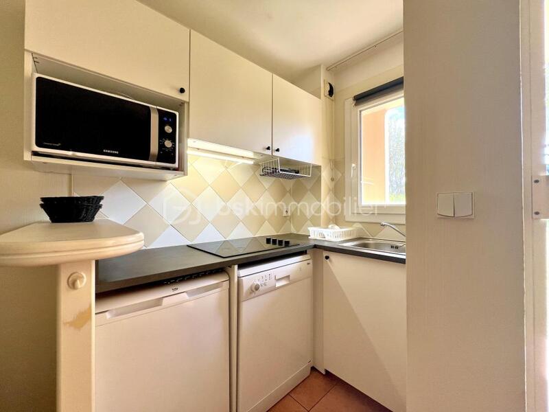 Studio - 24 m² - 1 pièce