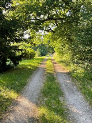 Terrain de loisirs - 5 100 m²