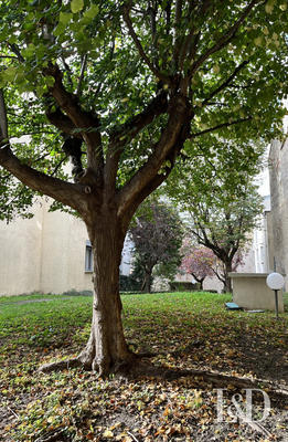 Duplex - 100 m² - 4 pièces