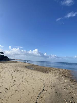 Villa - 100 m² - 4 pièces