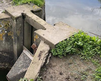 Terrain - 11 140 m²