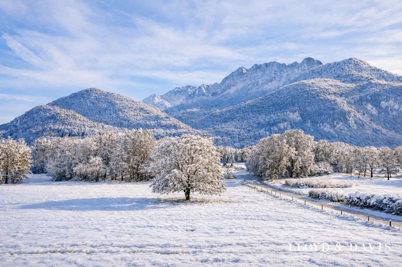 Appartement - 75 m² - 4 pièces