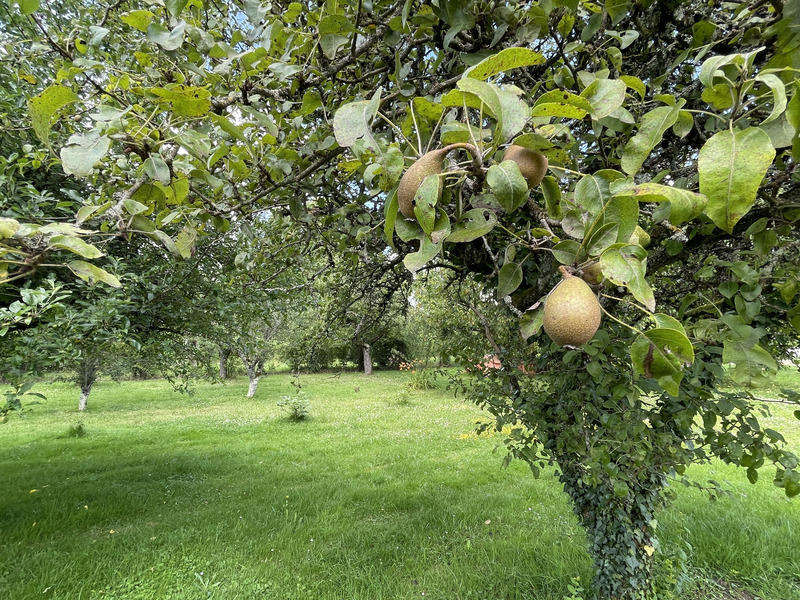 Maison - 124 m² - 7 pièces