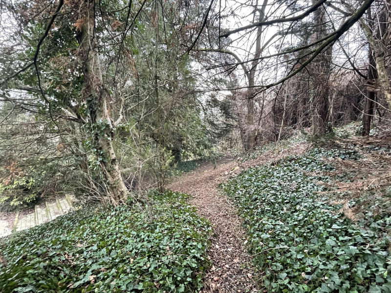 Maison - 303 m² - 7 pièces