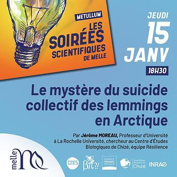 Conférence : le mystère du suicide collectif des lemmings en Arctique