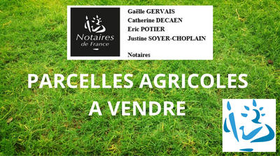 Terrain agricole - 547 216 m²