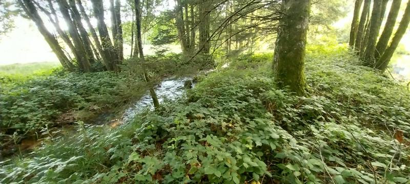 Terrain de loisirs - 3 045 m²