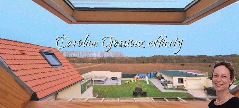 Pavillon - 220 m² - 12 pièces