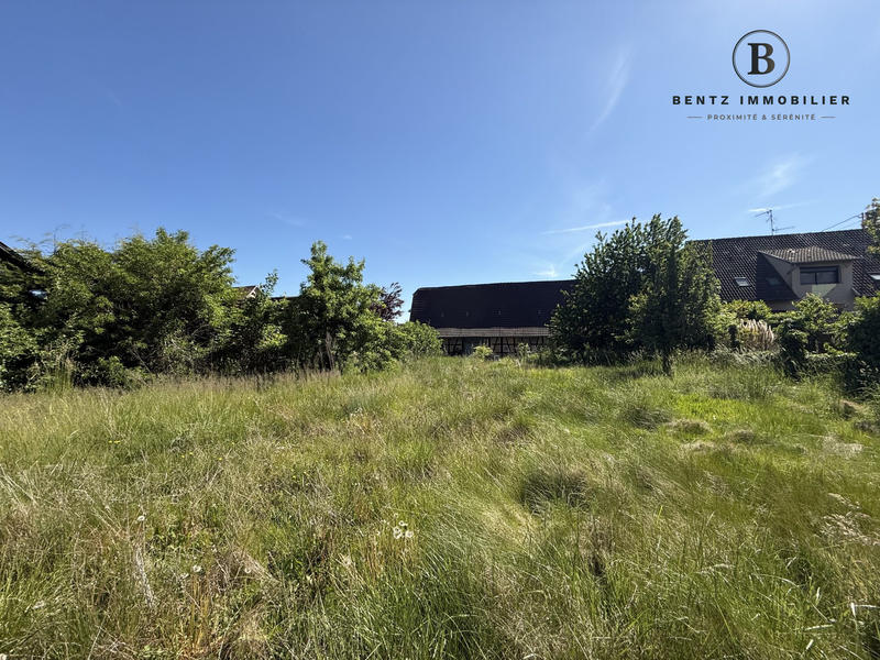 Ferme - 247 m² - 8 pièces