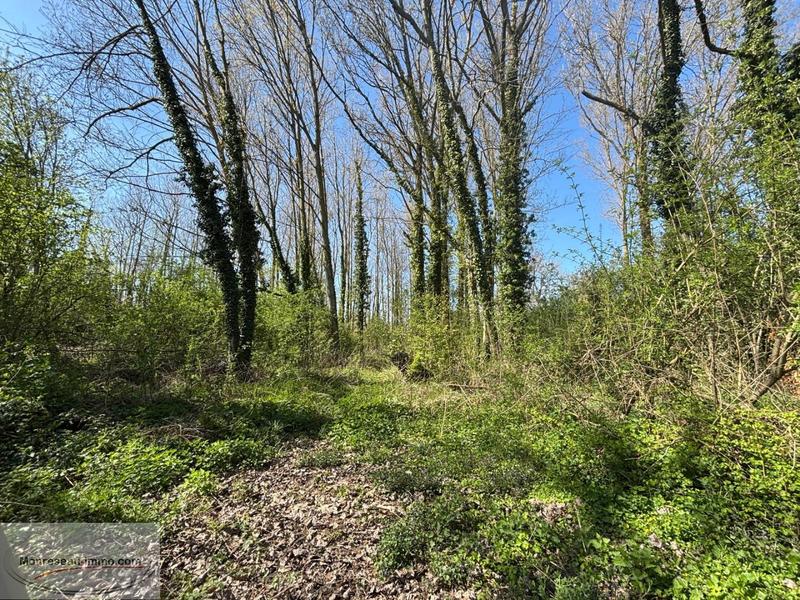 Terrain - 12 000 m²